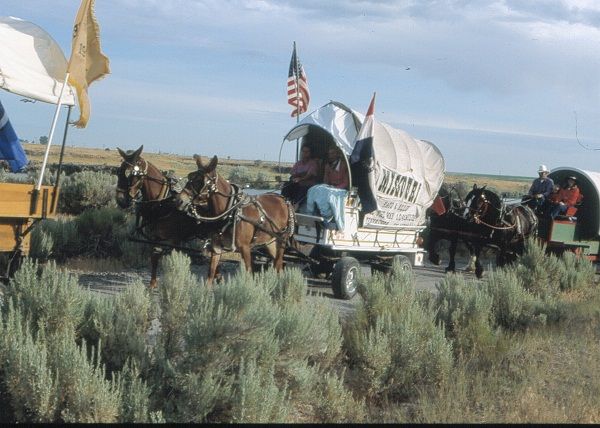 wagon train 03